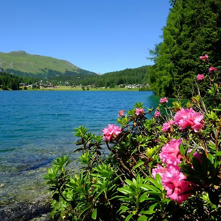 Resort Alpengold